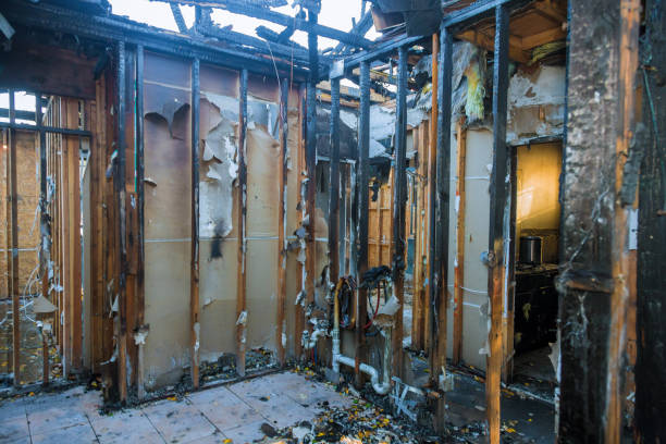 Professional Fire Damage Removal technician working in Zephyrhills North, FL